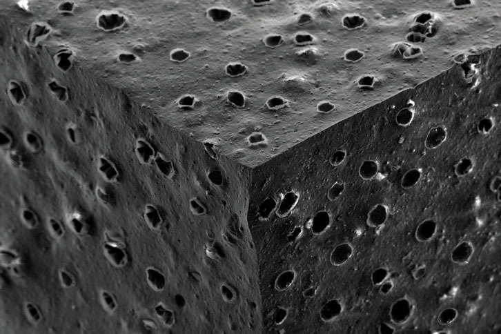 新たに採用された“スーパー吸水ゴム”の顕微鏡写真（50倍モード）。