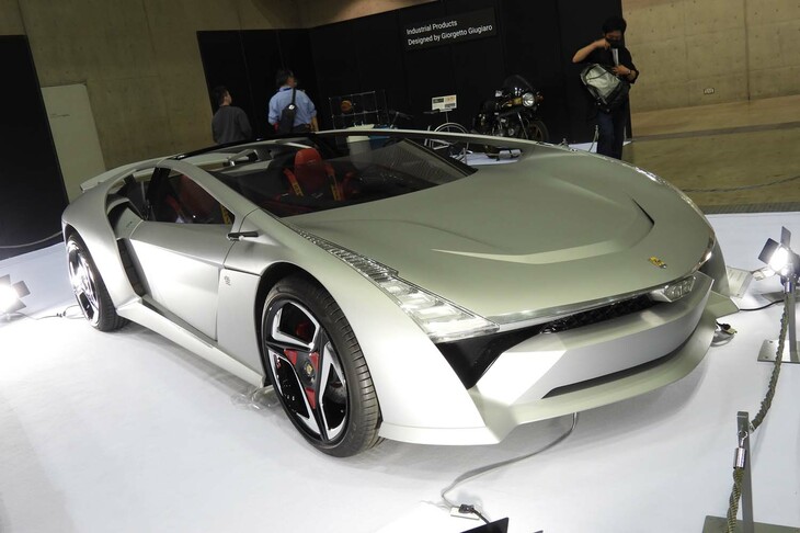 バンディーニ・ドーラ（2020年デビュー）