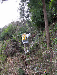 歩き遍路が挑戦しなければならないのは山登りや峠越え。「遍路転がし」と昔から呼ばれる、いくつかの難所を越えなくてはならない。これは有名な焼山寺への道。歩き始めて3日目ぐらいに挑まなくてはならないここでは、およそ6時間かけて500〜700メートル級の三つの峰を上り下りするために、ここで足を痛めてあきらめる人も少なくない。