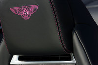 オプションで温風が吹き出すネックウォーマーを選択することができる。