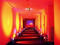 第34回：「アルファ8Cコンペティツィオーネ」です