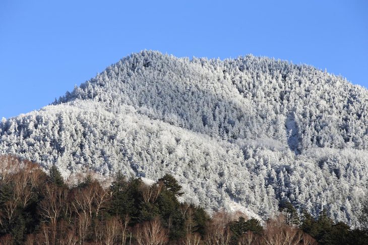北側の山岳部を見上げると、ご覧の通り木々に雪がかぶっている。万座ハイウェーの料金所では、係員から「この先は雪があるから気をつけて」と声をかけられた。