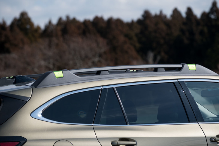 機能面での大きなちがいとなる、ラダータイプのルーフレール。耐荷重318kg（走行時100kg）という本格的なものだ。