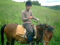 第75回：クルマなんか目じゃない！ウマは“史上最高の乗り物”だの画像