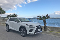 翌日は「レクサスNX300」でドライブ。コンパクトなSUVスタイルは、島の未舗装路や草地などを通る際にも、大いに役立ってくれた。
	 
	