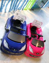 「プジョー アヴェニュー」にて。「107」が115ユーロ。