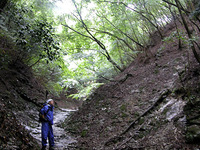 第54回：枯れゆくブナの山、檜洞丸（その3）（矢貫隆）