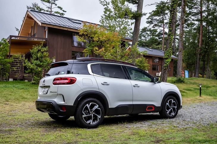 「カクタス」以降のシトロエン各車に共通するエアバンプデザインを、ボディーサイドとフロント下部に採用（ただし樹脂製で硬質）。Cピラーは、シトロエンの欧文頭文字である「C」をモチーフとしたクロームラインが、デザインのアクセントになっている。