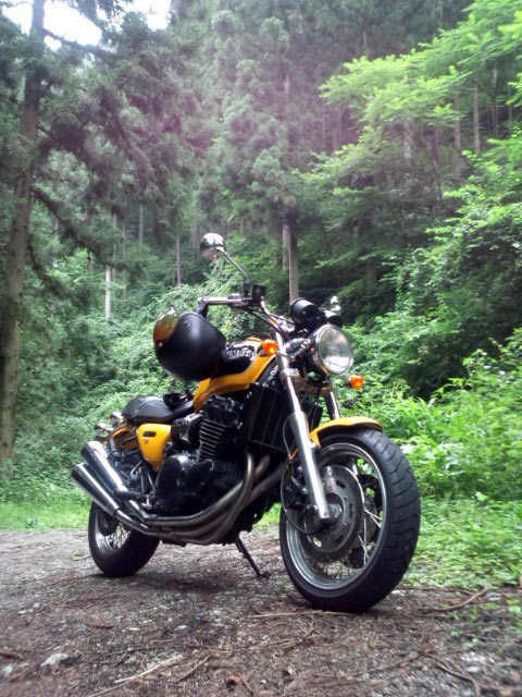 もう1台の相棒こと「トライアンフ・サンダーバードスポーツ」。写真の通り格好いいバイクなのだが、オーナーのビジュアルがそれにつりあってないのよ（涙）。