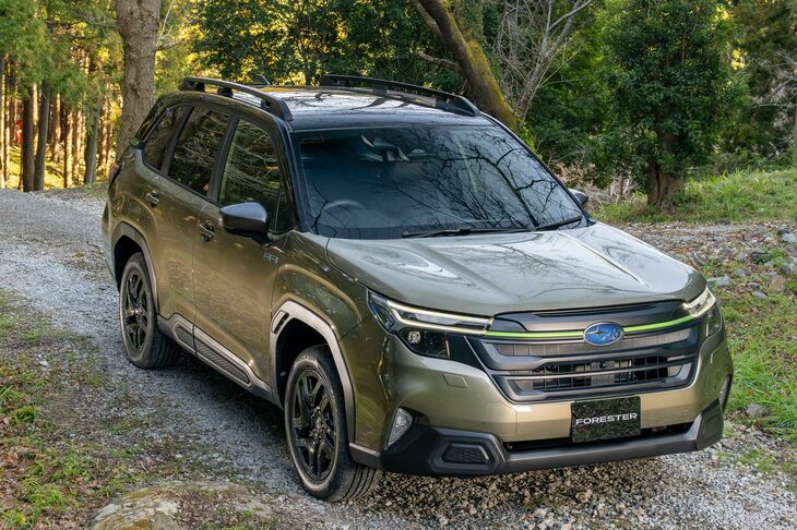 レジャーユースに好適な「X-BREAK S：HEV EX」。ラダータイプのルーフレールを備える。