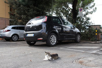 EV4台分の専用駐車スペースは、内燃機関車2台が占有していた。本来は取り締まり対象であるが、この日は日曜日なので市警察もやってこなさそうだ。