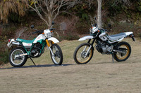 35年の歴史の中で、幾度となく改良がなされてきた「セロー」。ただし「初めての人でも乗りやすい、間口の広いバイクであること」というコンセプトは最後まで受け継がれた。