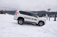 前後のバンパーをこすりながらモーグルをクリアしていく。
    