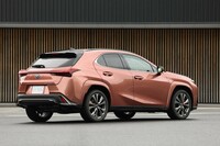 システム最高出力の向上に合わせて、従来の「UX250h」は「UX300h」（写真）へとグレード名称を改めた。