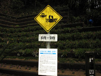 道路は、場合によってはカニのものでもあったりする。それはそれでいい。クルマも人も注意するようになる。徳島県で。