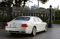 「ミュルザンヌ」を思わせるサイドのラインがクラシック。