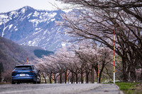 山肌に残る残雪と開花したサクラのコントラストが美しい越後路を行く「ゴルフヴァリアントTDI Rライン」。特に“燃費走行”を行わず普通に走っても、あっさりとカタログ値を上回るデータをたたき出すフォルクスワーゲンのTDIは、やはりとんでもなく燃費に優れたエコカーといえる。