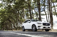 100万本ともいわれる黒松の並木で知られる、名勝「虹の松原」にて。