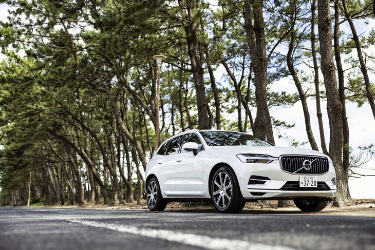 100万本ともいわれる黒松の並木で知られる、名勝「虹の松原」にて。