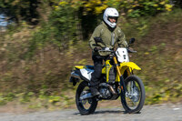 トラクションコントロールには「1」「2」「G（グラベル）」「オフ」の4種類の制御を用意。Gは、ある程度後輪のスリップを許容して未舗装路での駆動力を保持するモードで、「Vストローム」シリーズとは異なり、写真のようなフラットダートだけでなく起伏のある地形でも効果を発揮するようセッティングされている。