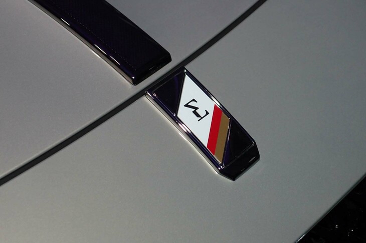 DS 9オペラE-TENSE（フロントエンブレムおよびセイバー）