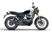 ベア650（ゴールデン・シャドー）