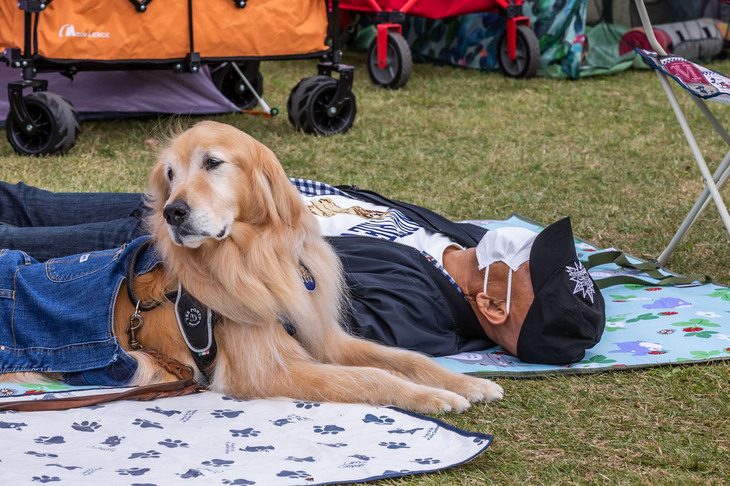 愛犬とともにメインステージ前の芝生で休憩する参加者。こうした自由な雰囲気も「カングージャンボリー」ならでは。
