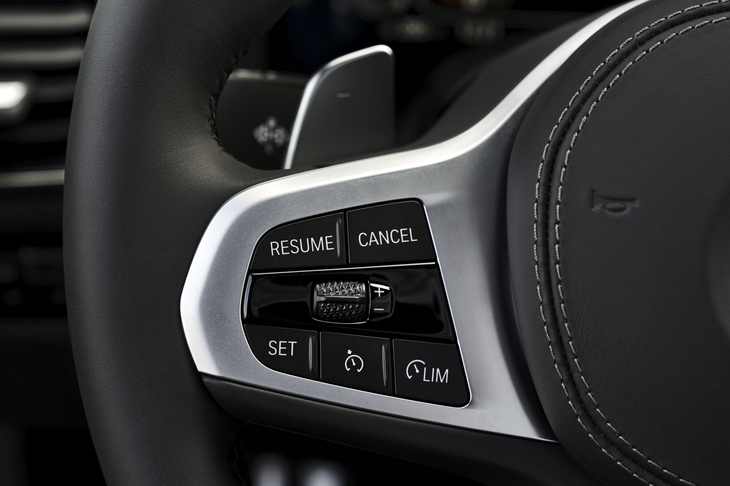 ステアリングホイールのスポーク部には、クルーズコントロール（写真）のほか、カーオーディオなどの操作スイッチが並ぶ。
