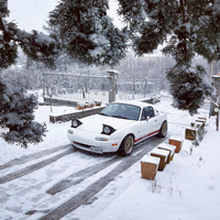 マッティア・クインティさんの初代「マツダMX-5」。やや寒さに凍えているように見えるから不思議だ。