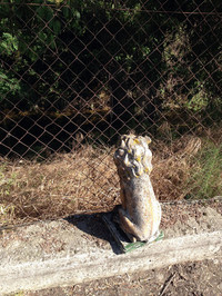 【写真3】DIYセンターの片隅に放置されていたこま犬ならぬライオン。