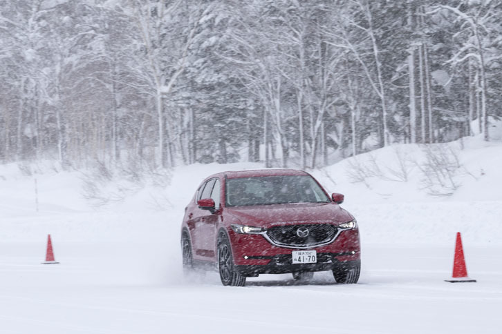 特別にアクセルペダルの操作に対して反応を鈍くしたクルマと反応を過敏にしたクルマ、ブレーキのサーボ量を落とした状態のクルマでスラロームを試す。