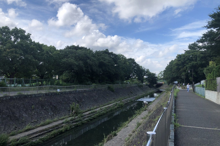 私の自宅は東京・杉並区内を流れる中小河川（善福寺川）にほど近い。大雨が降ると必ず警戒警報が発令されるも、被災したことはまだなく、環状7号線の地下に巨大な調整池（トンネル）ができてからは、ほとんど心配しなくなった。