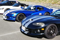 AUTO-Xで知り合った、さるオーナー氏の青い「バイパー」と、記者のバイパー。個人的に、ブルーのボディーにホワイトのストライプの組み合わせが、いちばん初代バイパーらしいカラーリングだと思う。