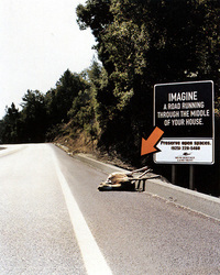 第15回：『アメリカ、環境保全の公共広告』の画像