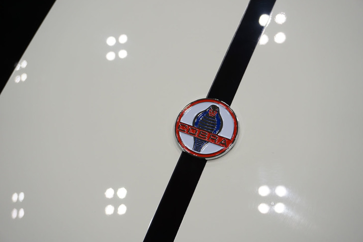 スーパフォーマンスMK III 302（2018年）／BUZZ FACTORY