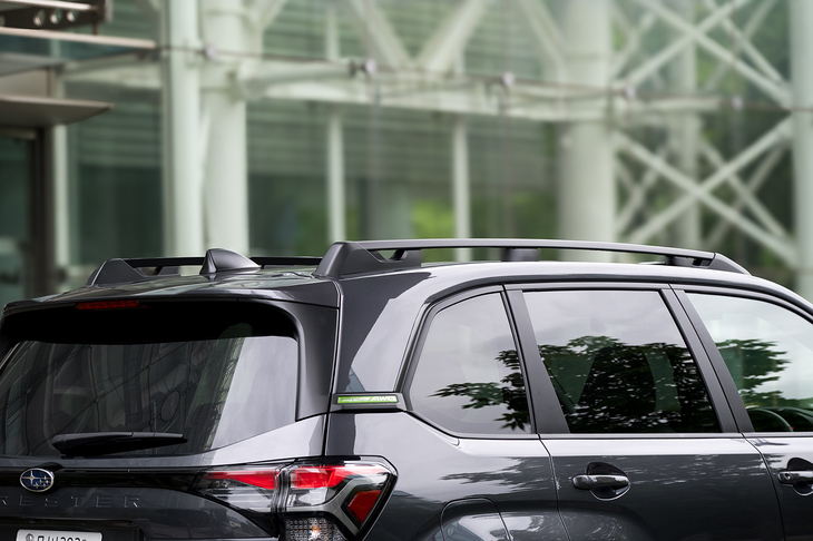 ラダータイプのルーフレールは「X-BREAK」の専用装備だ。