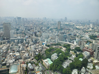 気象庁が持つデータによれば、東京都心の8月の最高気温は1994年夏に記録した39.1度とのこと。7月では、2004年7月30日に39.5度を記録している。あくまで記録上のことだが、この日が東京都心が史上最も「40度」に近づいた日だ。写真はイメージで、東京・港区周辺の様子。なお、日本における8月の最高気温の記録は、群馬県伊勢崎市で2025年8月5日に観測された41.8度。7月は2018年7月23日に埼玉県熊谷市で記録された41.1度である。