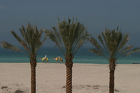 「UAEデザートチャレンジ」第1日目“プレイベント”の画像