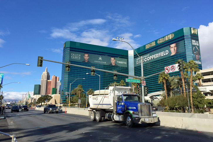 ラスベガスにて。市内屈指のホテル「MGMグランド」をのぞむ。