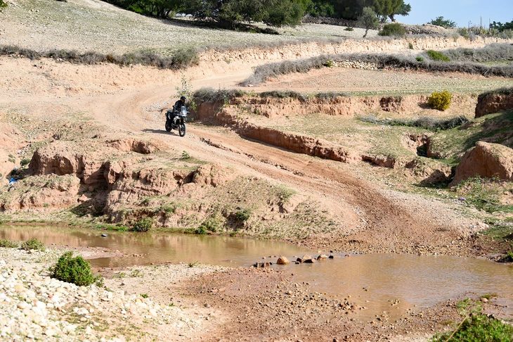 試乗会は、かつてパリ‐ダカールラリーの舞台ともなったアフリカはモロッコにて行われた。