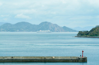 第120回：島のファミリーカーはアトレーのYAZAWA号『モヒカン故郷に帰る』の画像