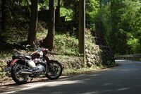 登れば登るほどに狭くなる大丹波地区の道。安全運転で行きましょう。途中には「大丹波川国際ます釣り場」もあるので、釣り好きの人にもオススメです。