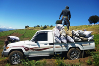 コスタリカの農園で働く「トヨタ・ランドクルーザー70」。多様なマーケットでクルマを販売するトヨタは、地域ごとの要望や使用環境に応じて製品を提供しなければならない。もちろんそこには該当地域のエネルギー事情も含まれ、「一辺倒にEV」というわけにはいかないだ。