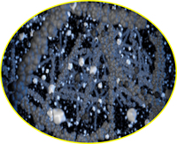 シリカ（ゴムの弾性と強度を高めるために配合する二酸化ケイ素）を多く配合した新開発のコンパウンドにより、ドライ性能とウエット性能を同時に高めている。