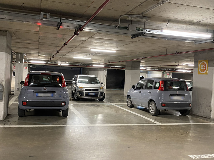 左が代車で右が一般オーナーのクルマ。同じボディーカラーの「パンダ」が偶然並んだ。2021年3月に撮影。