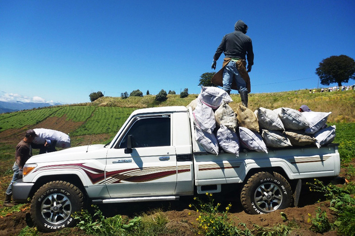 コスタリカの農園で働く「トヨタ・ランドクルーザー70」。多様なマーケットでクルマを販売するトヨタは、地域ごとの要望や使用環境に応じて製品を提供しなければならない。もちろんそこには該当地域のエネルギー事情も含まれ、「一辺倒にEV」というわけにはいかないだ。