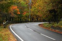 「女の神展望台」から先の路面はご覧のとおり。落ち葉はきれいに路肩に寄せられていたが、誰が荒らしたのか、たまに路面に散っている場所もあったりして身構えた。