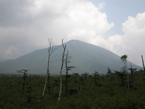 だらしない編集担当のせいで、登山ならぬひよったハイキングとなった「クルマで登山」。だがしかし、戦場ヶ原を中心とした日光周辺にはさまざまな問題提起が隠されているのだ。