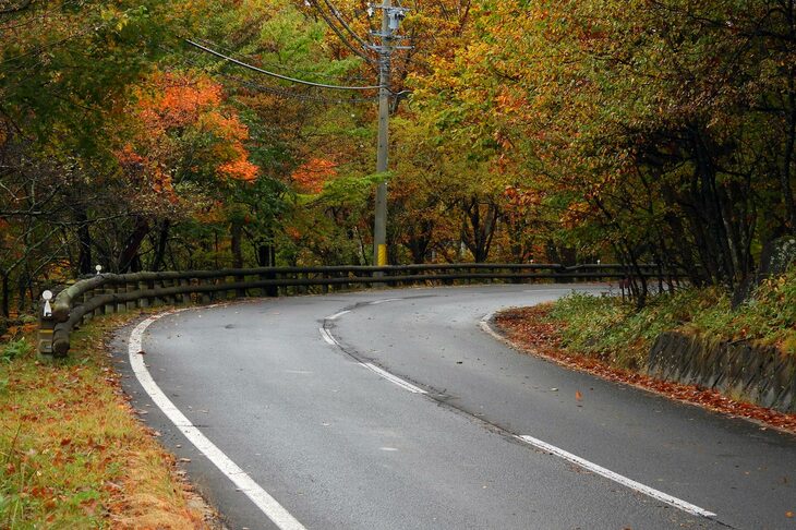 「女の神展望台」から先の路面はご覧のとおり。落ち葉はきれいに路肩に寄せられていたが、誰が荒らしたのか、たまに路面に散っている場所もあったりして身構えた。