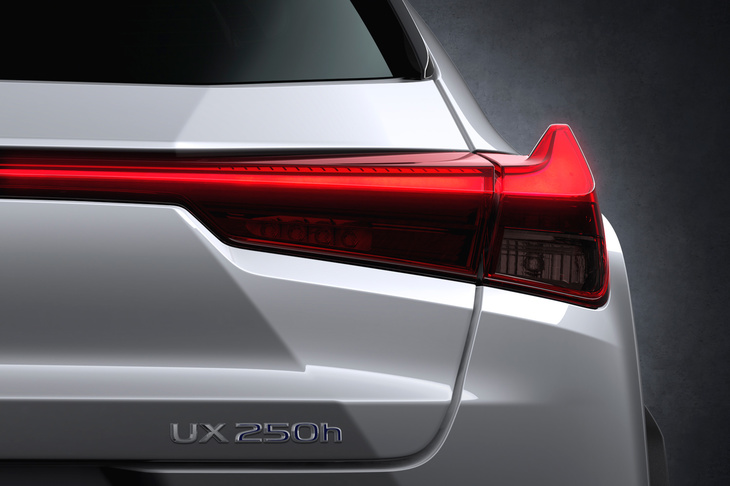 両端がフィンのように立てられたテールランプ。
	明照寺：「見た限りでは、型と型の間にできるパーティングラインが見当たらなかったんですけど、どうやって成形しているんですかね？」